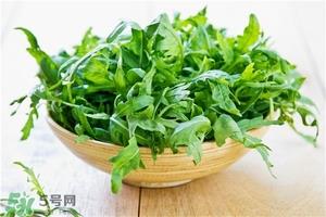 苦苦菜的功效与作用及食用方法