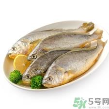 小黄鱼的营养价值 小黄鱼的功效与作用