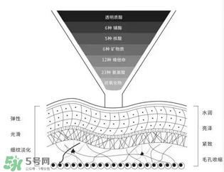 菲洛嘉是什么牌子 Filorga怎么样