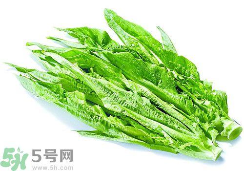 吃油麦菜可以减肥吗?油麦菜减肥食谱