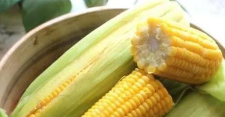 生活玉米煮多久会熟，煮玉米时间一般10到15分钟  2