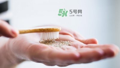 ​lush牙膏粒怎么用？lush牙膏粒使用方法