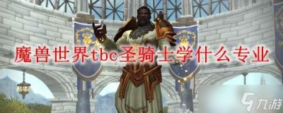 ​魔兽世界圣骑士天赋加点 圣骑士学什么专业