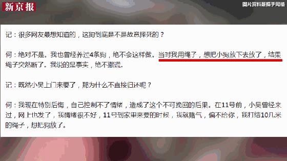 “疑索酬不成摔死小狗”，女子该当何“罪”？