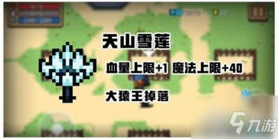 ​《元气骑士》天山雪莲作用一览 天山雪莲作用是什么