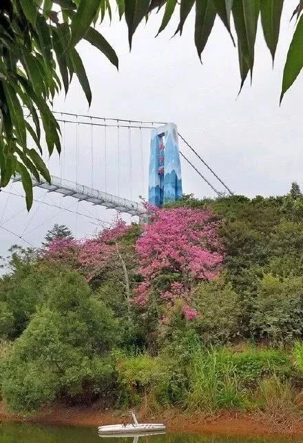 南宁花雨湖彩虹玻璃桥