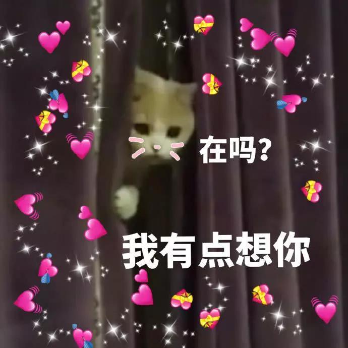 蜜桃表情包精选:我是一直可爱的小猫咪