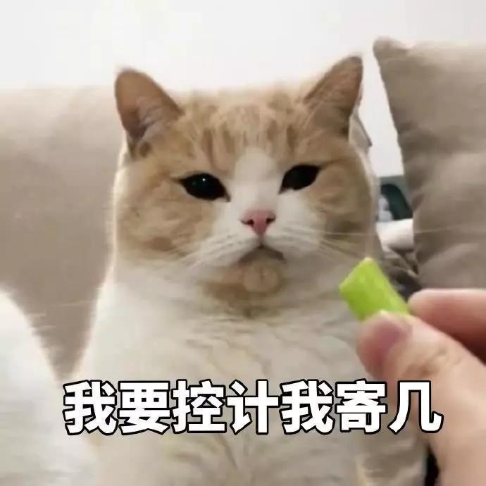 蜜桃表情包精选:我是一直可爱的小猫咪