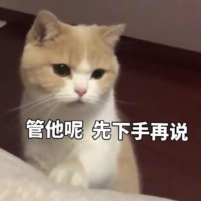 蜜桃表情包精选:我是一直可爱的小猫咪