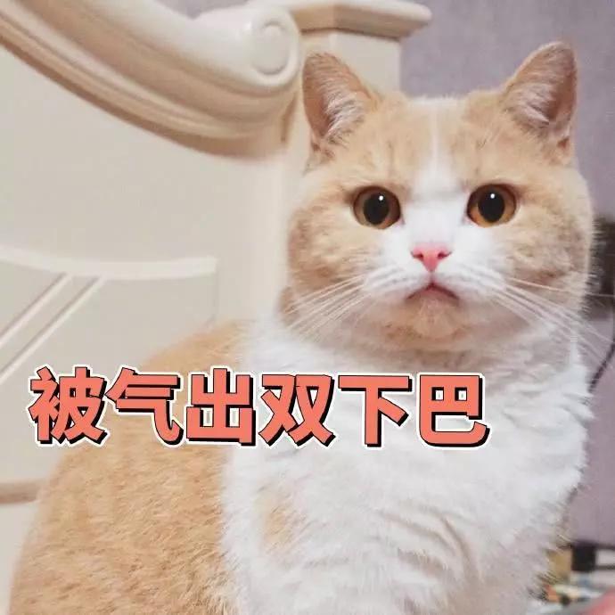 蜜桃表情包精选:我是一直可爱的小猫咪