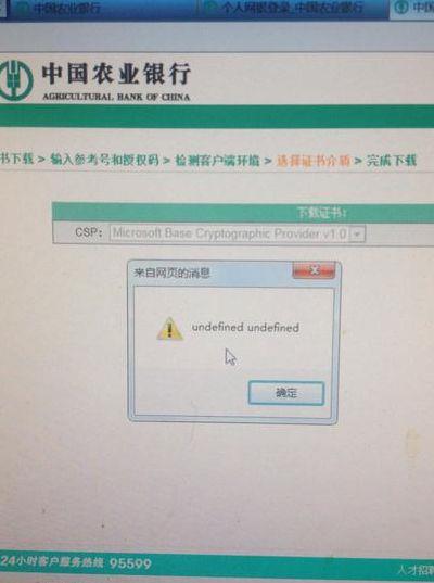 中国农业银行证书下载（中国农业银行证书登录打不开）
